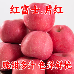 正宗甘肃庆阳红富士苹果不打蜡新鲜脆甜水果当季整箱包邮产地直发