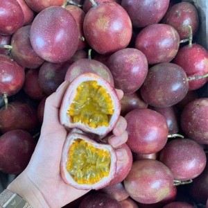 广西灵山百香果